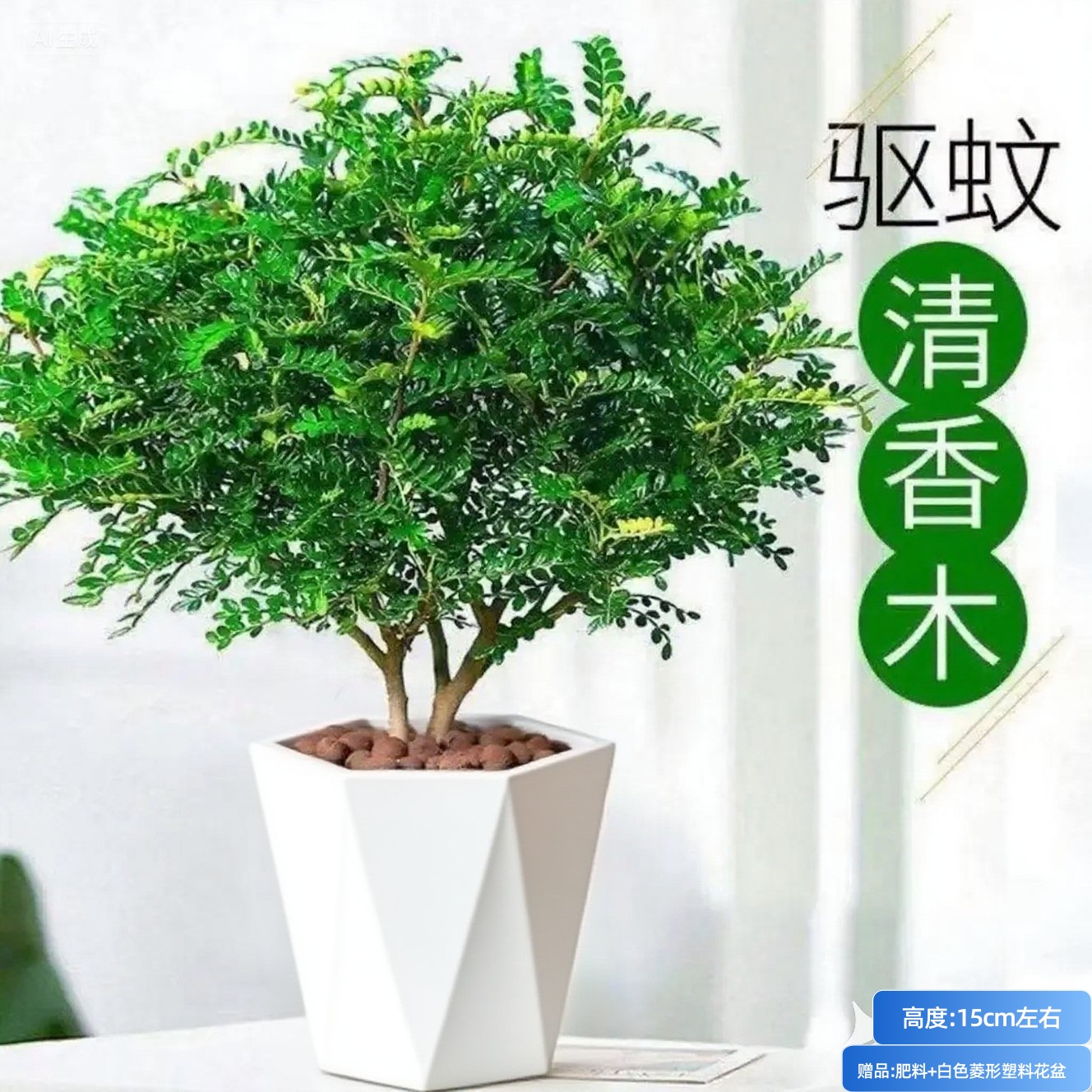 清香木盆栽开花带香味阳台室内外好养易活庭院清香木花卉绿植