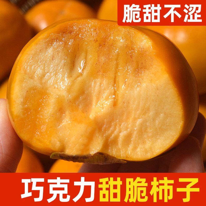 巧克力脆柿子脆甜硬柿子纯甜无核当季水果农家新鲜冰糖心阳丰脆柿