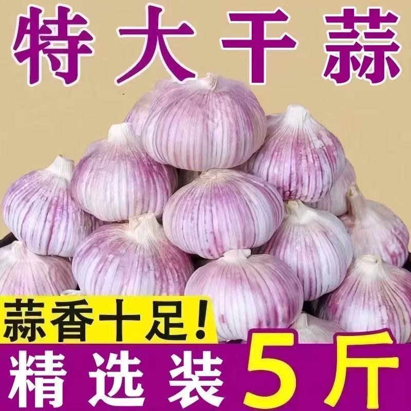 【2025新干蒜】新晒干蒜大蒜 蒜香浓郁辛辣十足 xxgr