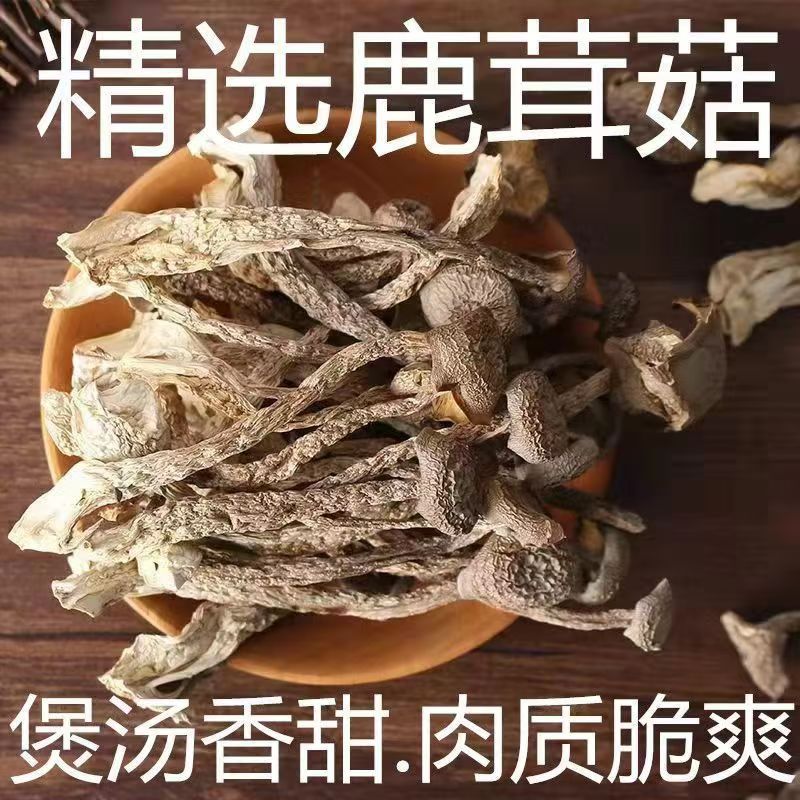 【鹿茸菇拍1发4】领2件以上免费试吃不满意退回剩下照样全额退款