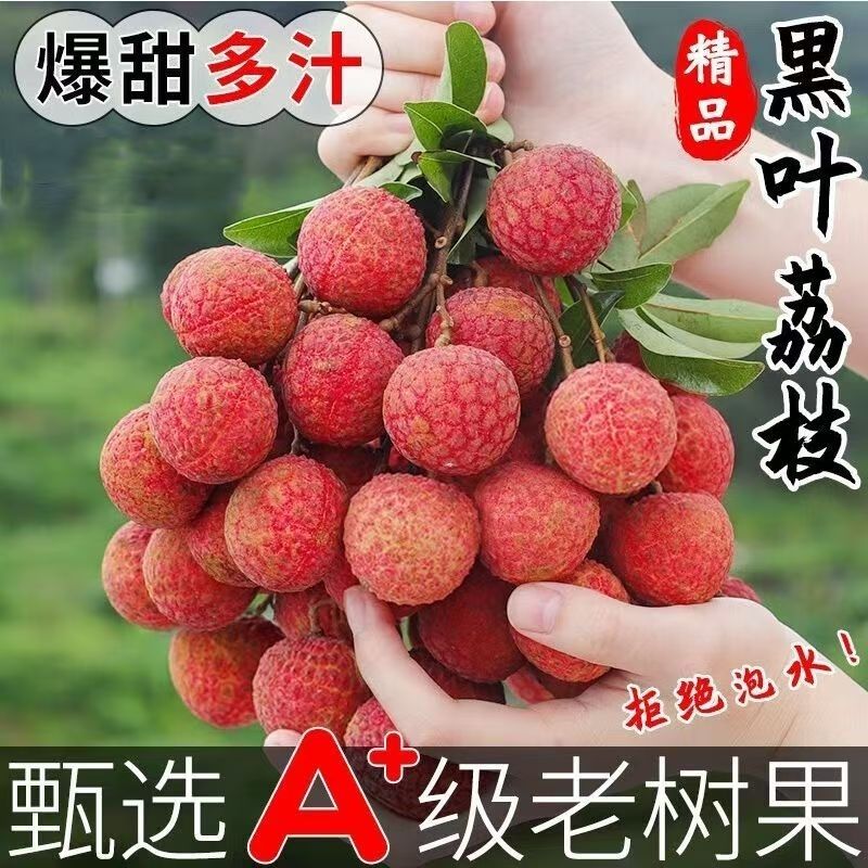 补贴《顺丰冷链》正宗冰糖黑叶荔枝新鲜福建乌叶整箱5斤甜坏果包赔