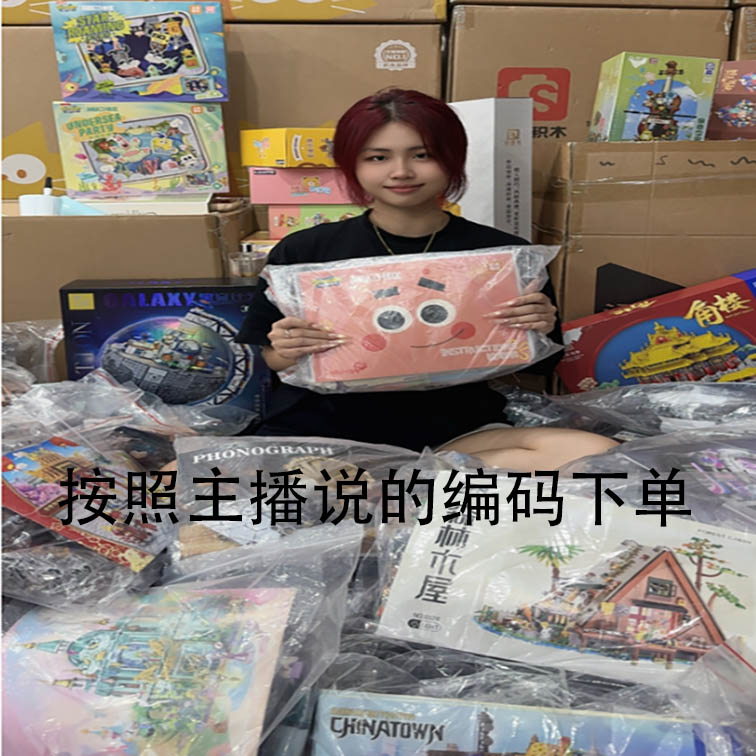 链接按编码下单益智拼插装积木玩具新品饰001