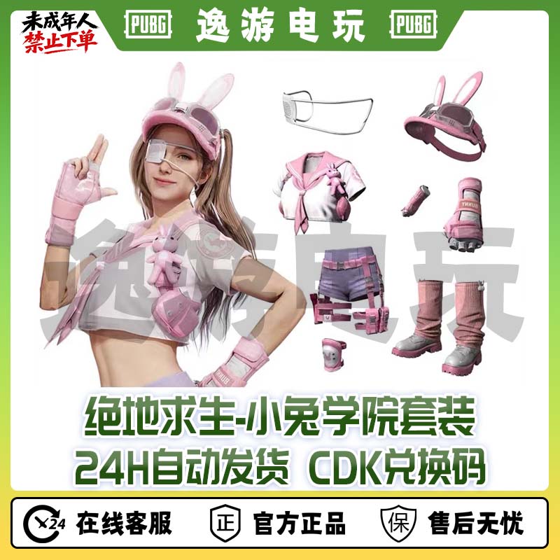 steam绝地求生PUBG小兔学院服套装cdk兑换码
