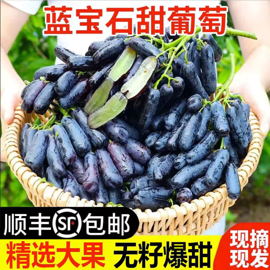 顺丰冷链蓝宝石葡萄新鲜葡萄整串当季金手指美人指