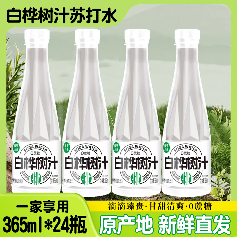 愉果先生白桦树汁苏打水饮料网红饮品365ml*24瓶整箱