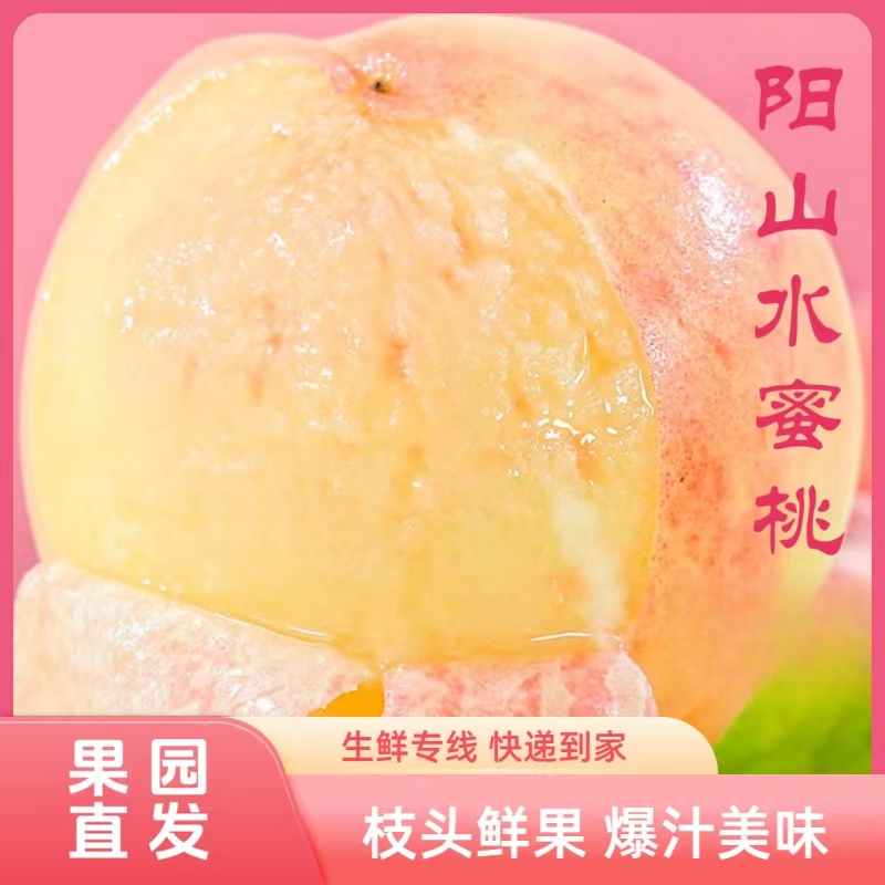 【4-5两湖景】阳山水蜜桃【买8送4】12颗礼盒装果园现摘现发YJ