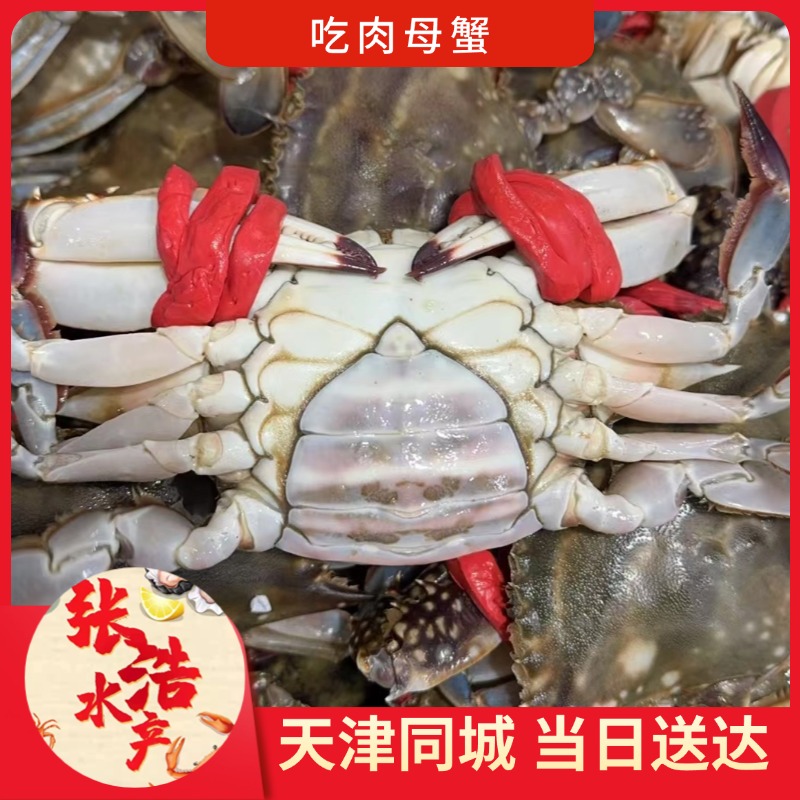 【保鲜不保活】吃肉母蟹 2-6斤 残蟹 天津市内六区当日达