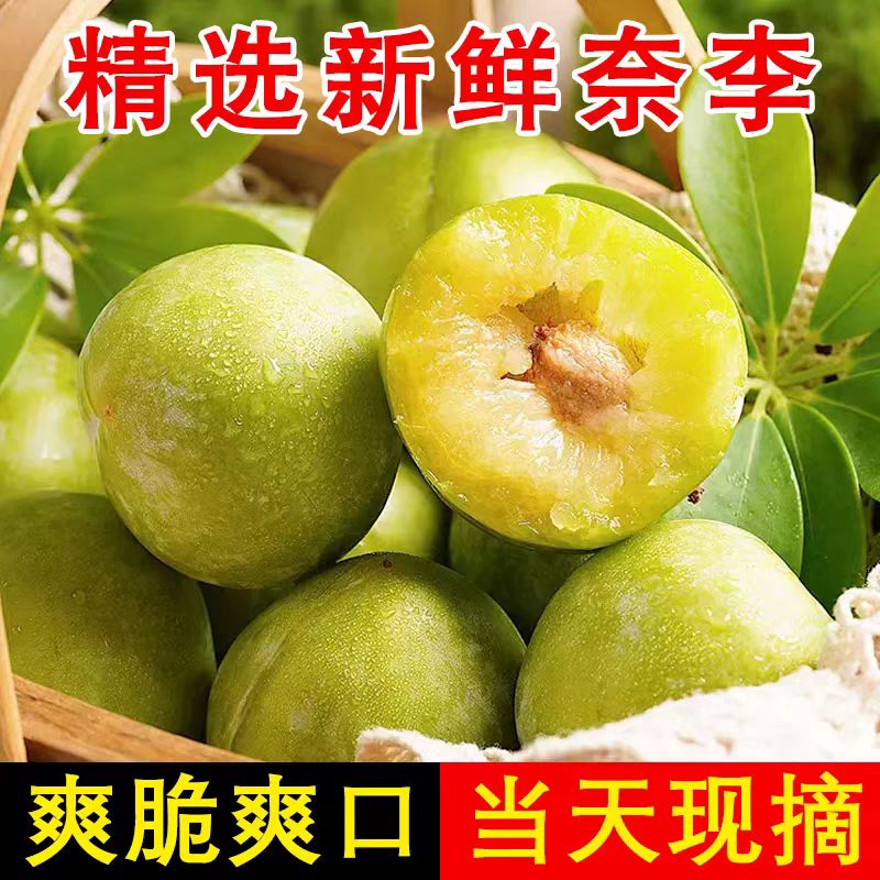 新鲜黄肉奈李爽脆酸甜多汁应季水果现采现发