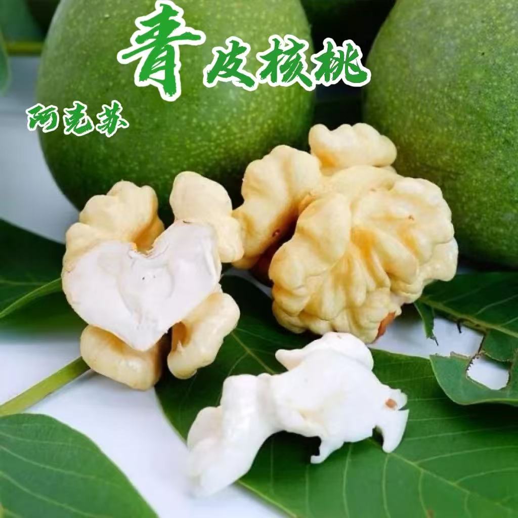 2025新疆阿克苏现摘青皮核桃185纸皮湿核桃5斤绿皮当季现摘核桃