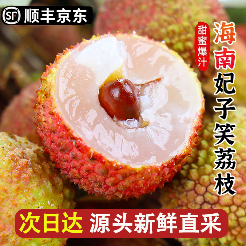 6-23日现货【明日达顺丰京东】DD海南直采老树荔枝新鲜水果妃子笑0.5斤-5斤装