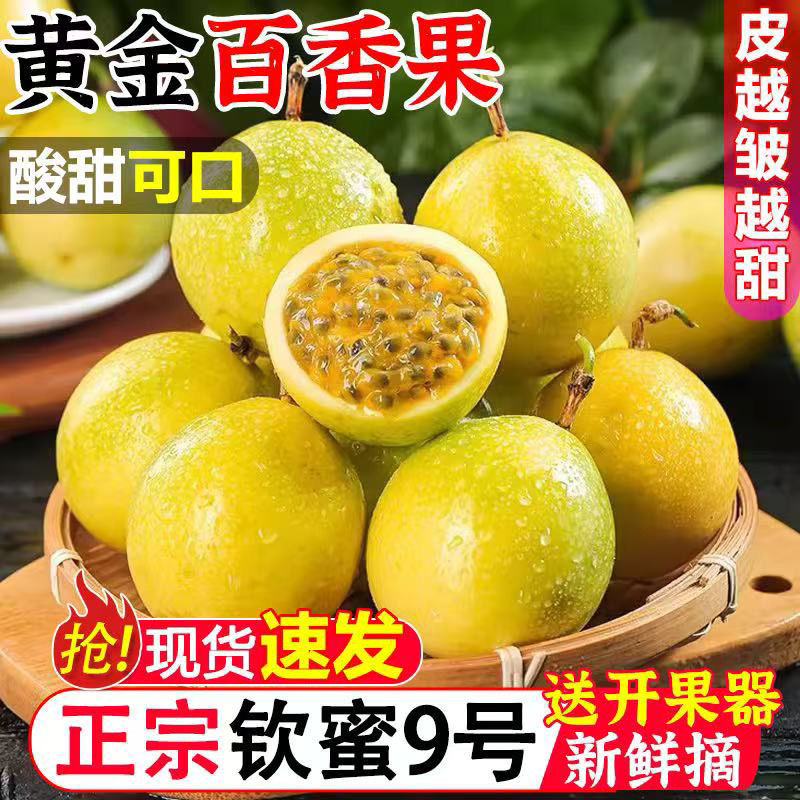 【送开果器】广西钦蜜9号黄金百香果新鲜水果香甜多汁 现摘现发Z