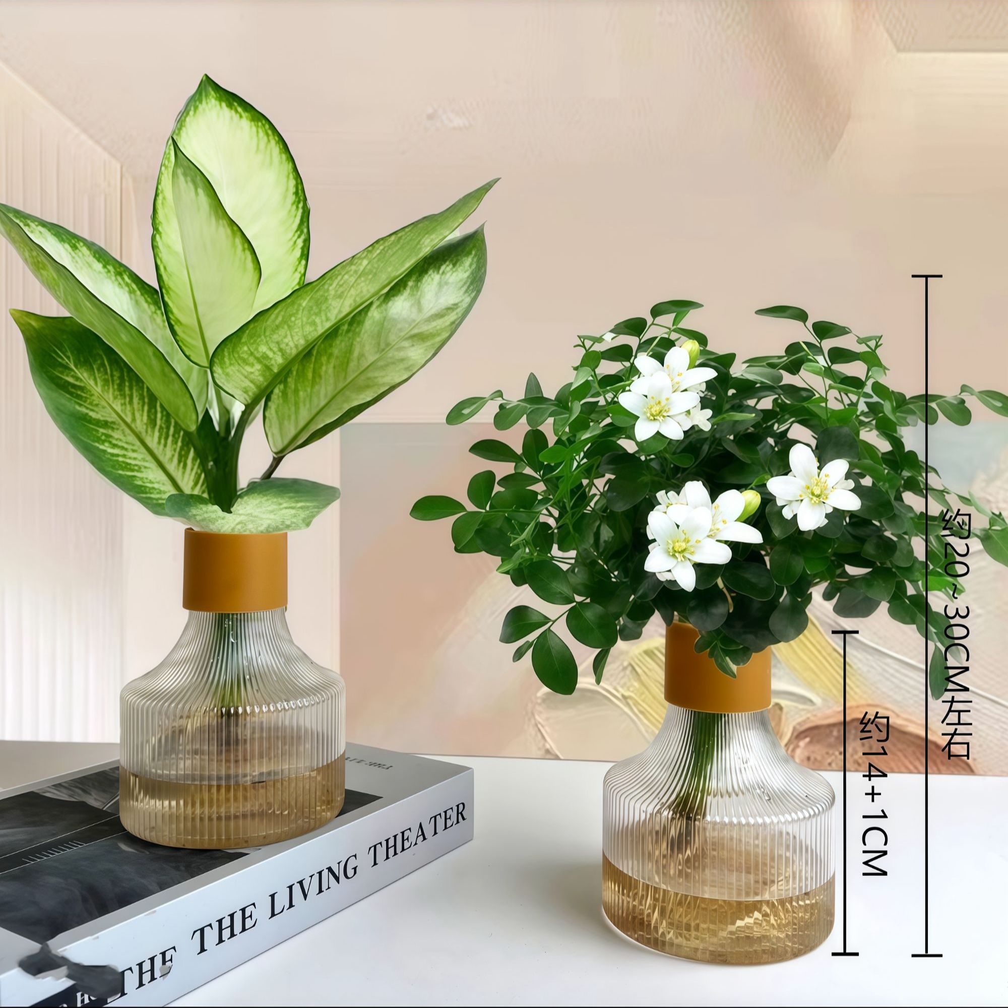 【买一送一】九里香玛丽安水培花卉室内绿植盆栽整高20-30懒人