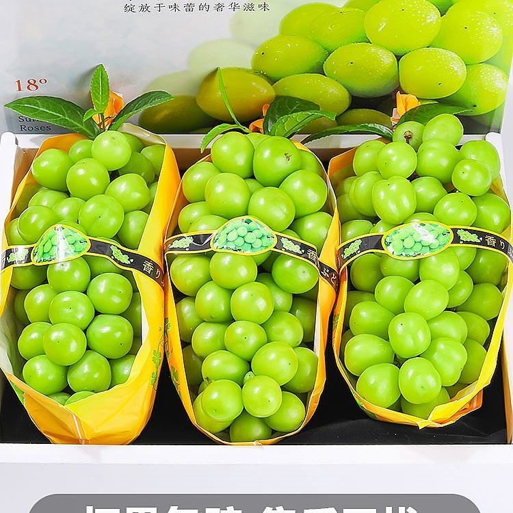 云南阳光玫瑰葡萄青提新鲜水果现摘现发