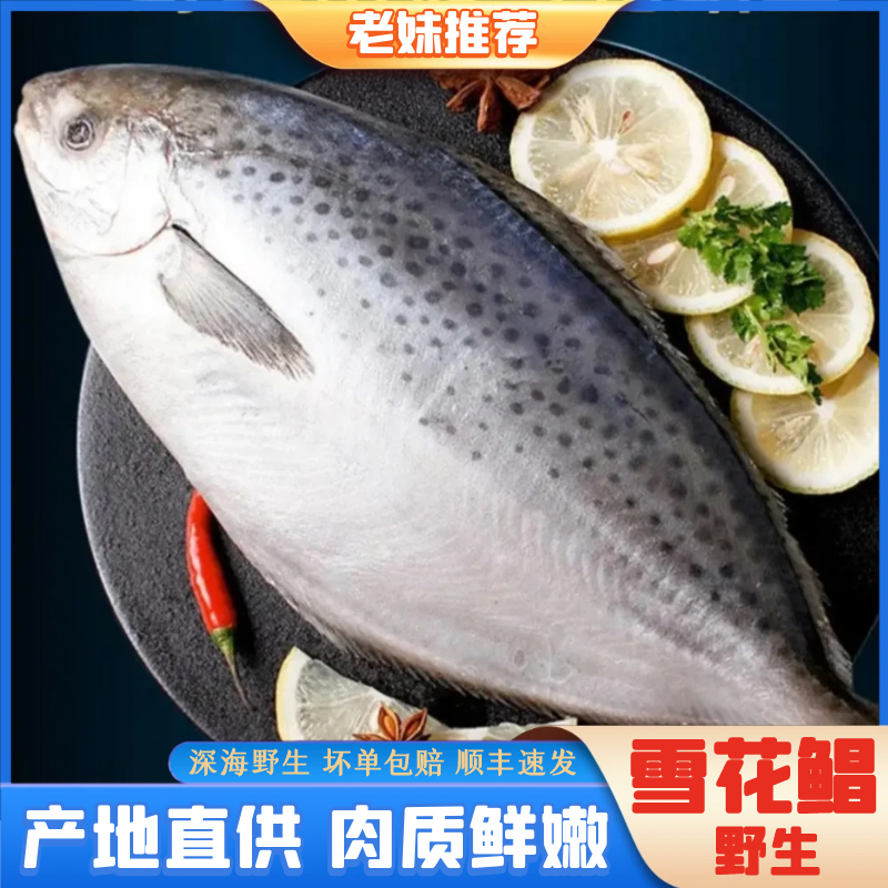 【老妹海鲜】雪花鲳鱼纯野生深海鱼新鲜直播200-250g/条8条1600g