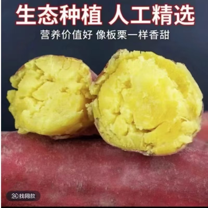 【买3斤送2斤到手5斤】新鲜现挖板栗红薯粉糯香甜正宗番薯红薯