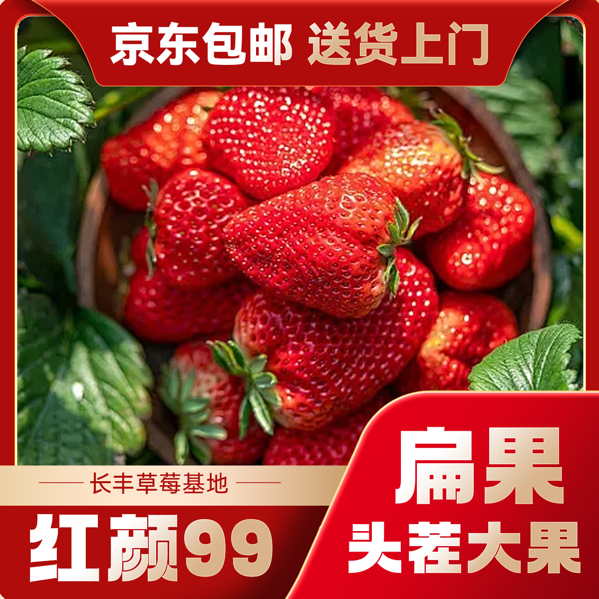 【扁果丑果】长丰奶油草莓 红颜99 【畸形果多倍体】