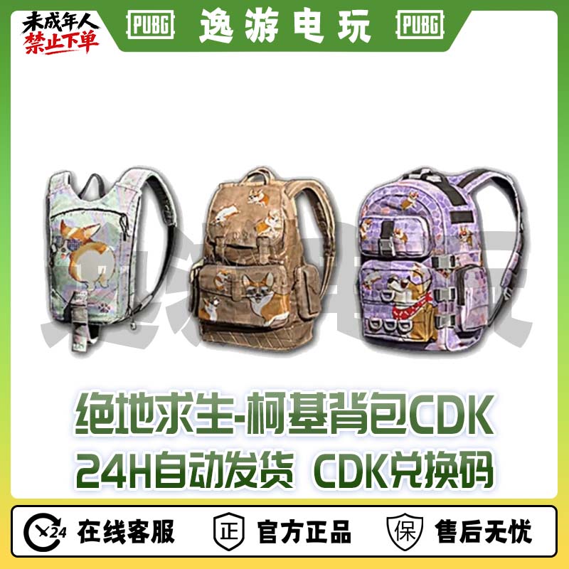绝地求生PUBG皮肤柯基背包CDK兑换码