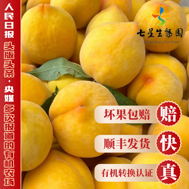 湖北锦绣黄桃产地直发顺丰包邮新鲜大黄桃脆甜多汁当季水果