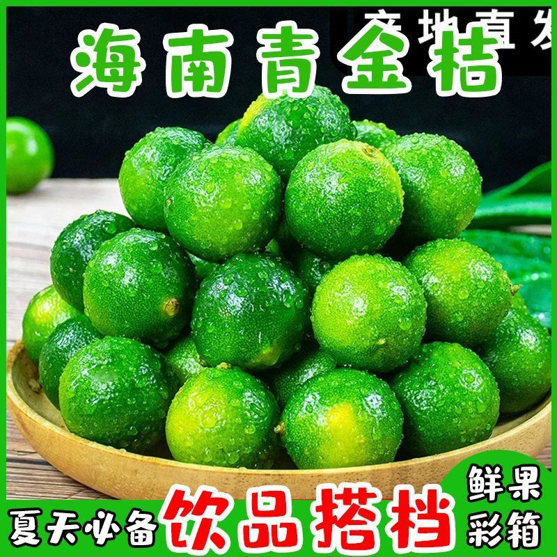 海南小金桔青桔香水柠檬新鲜现摘水果柠檬奶茶调料金桔小橘子青柠