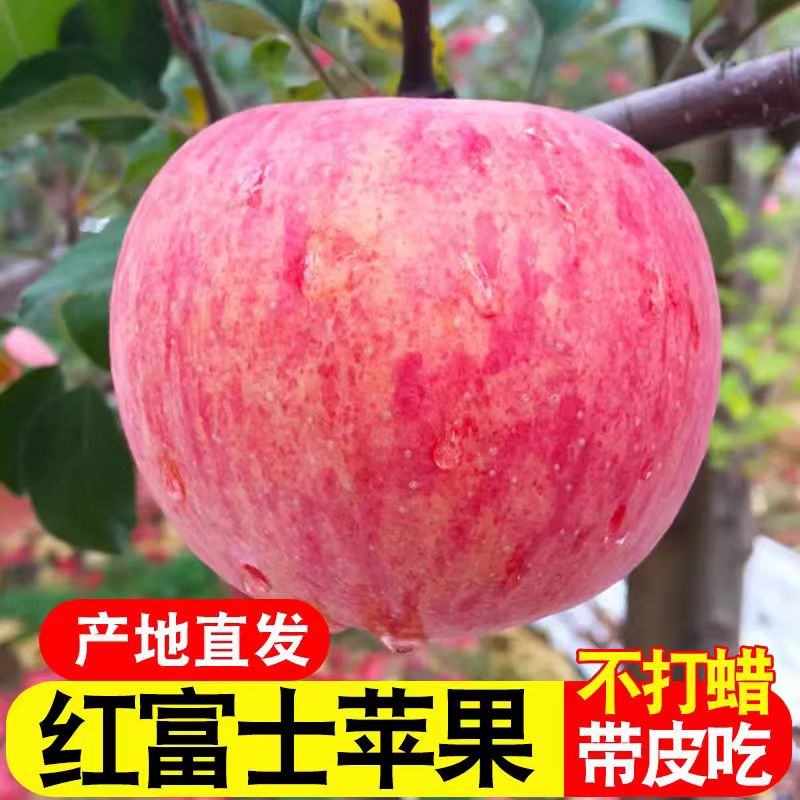 【辛平优选】正宗陕西红富士苹果带箱10斤现摘脆甜多汁