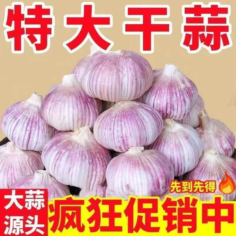【5斤装】2025年新蒜正宗紫皮白皮大蒜特大便宜批发优质干蒜包邮
