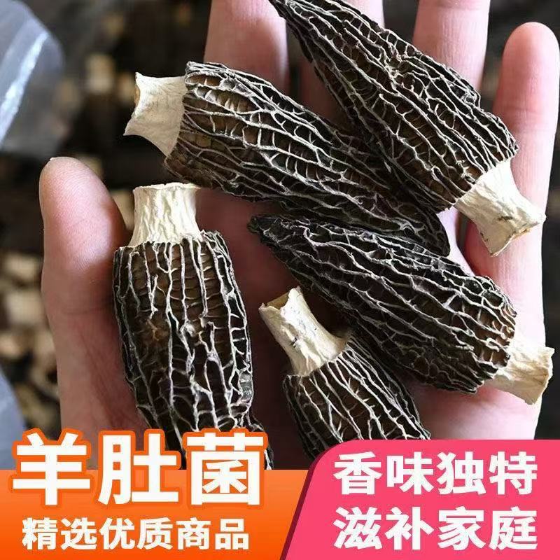 高山羊肚菌4-7公分干货直采煲汤火锅适用干度足味道鲜美