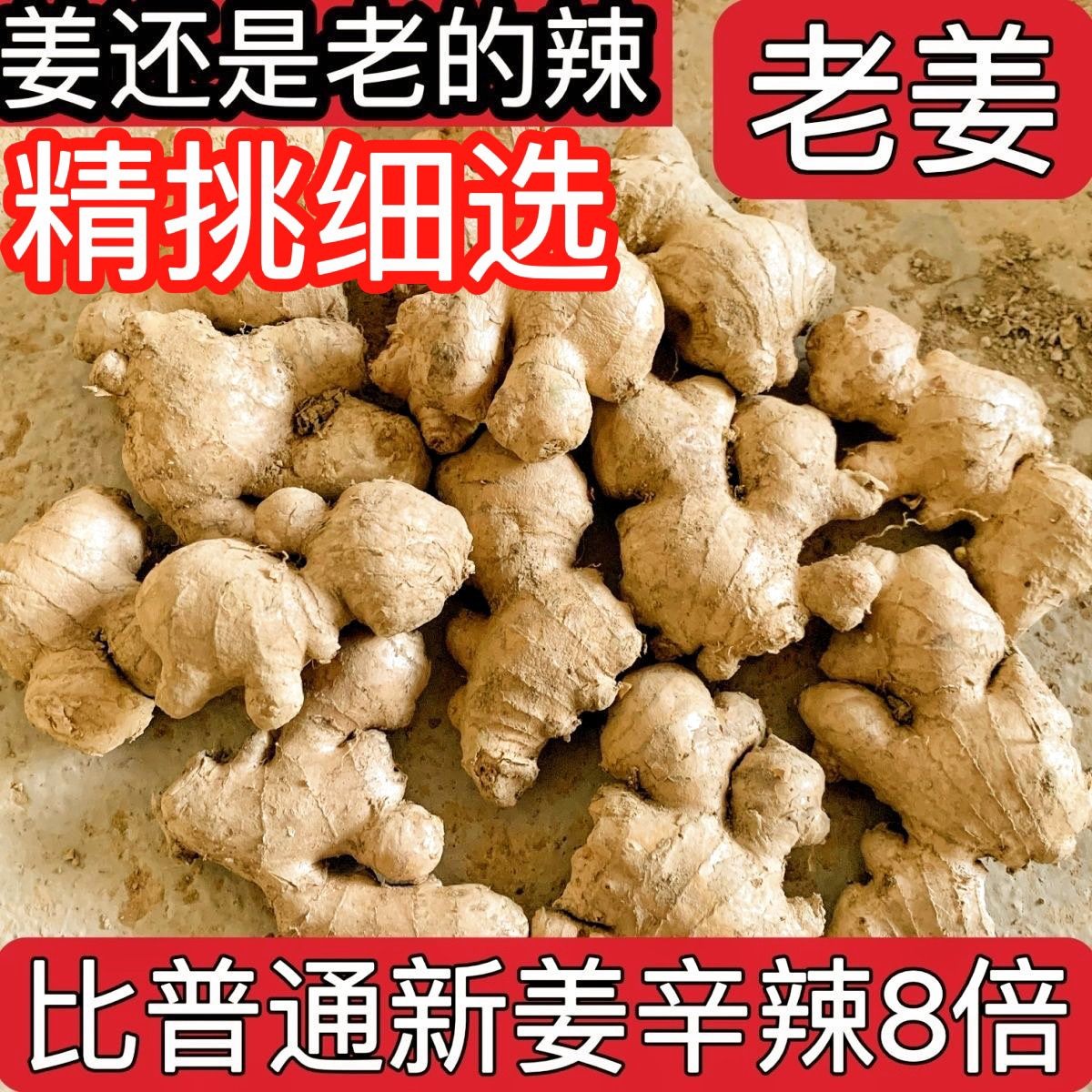 【产地直发】正宗云南老母姜新鲜现挖高山种植辛辣浓郁