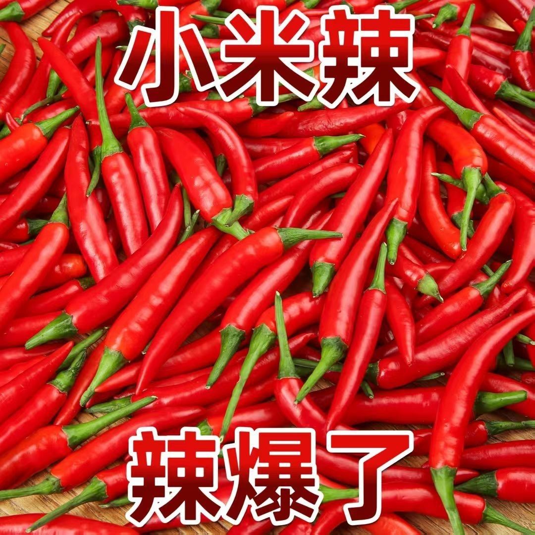 新鲜小米辣小米辣椒小米椒蔬菜魔鬼辣椒新鲜辣椒特辣巨辣红辣椒