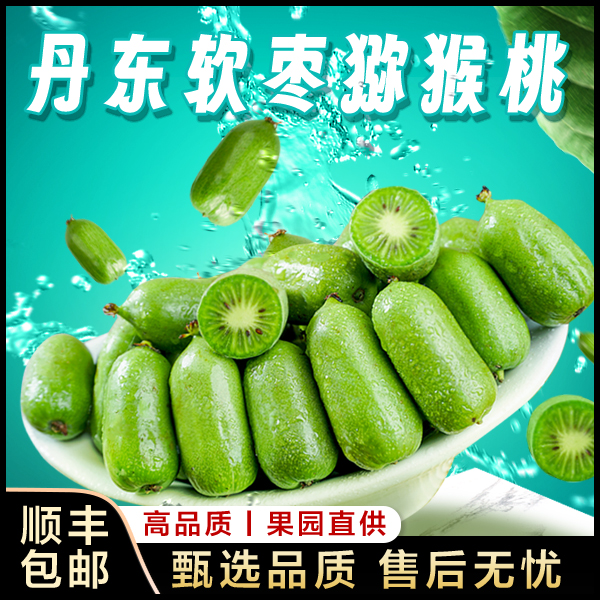【润景艾斯特】丹东软枣猕猴桃1/2/3斤绿心猕猴桃新鲜奇异果