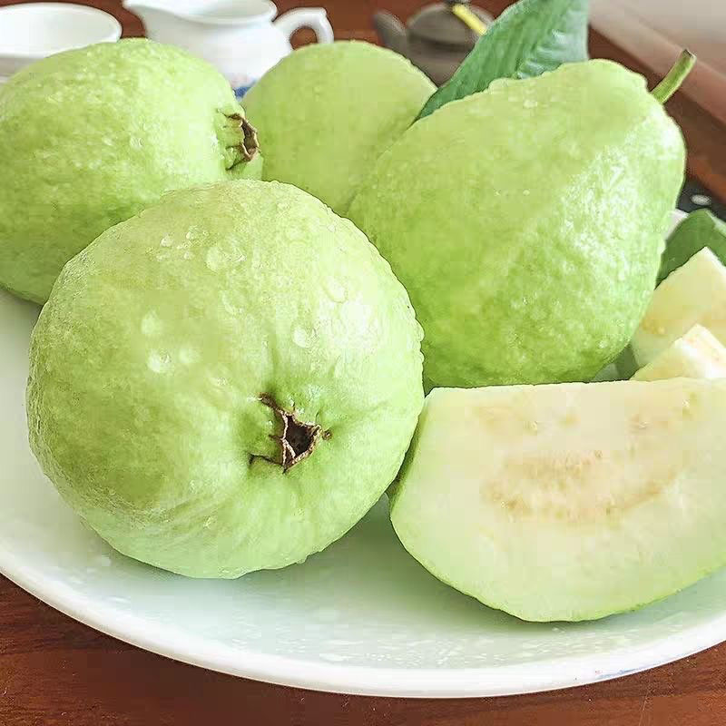 《胖丫》正宗海南三亚奶油芭乐 到家困软了吃 奶糯清甜 净4斤