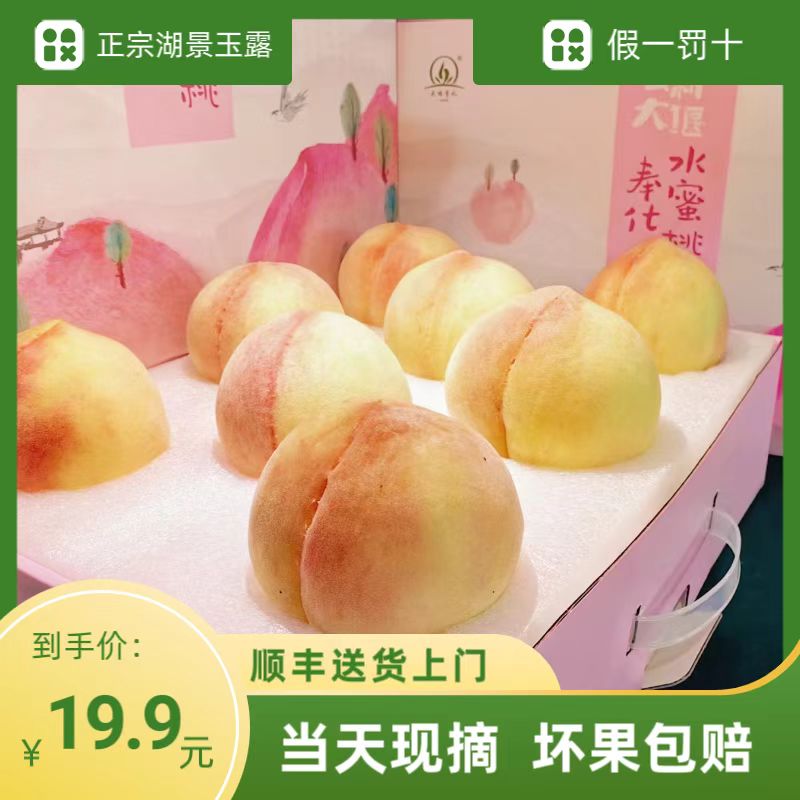 【云耕大堰】超值福利2斤-5斤湖景玉露正宗奉化水蜜桃礼盒装现摘现发顺丰直邮浙江省