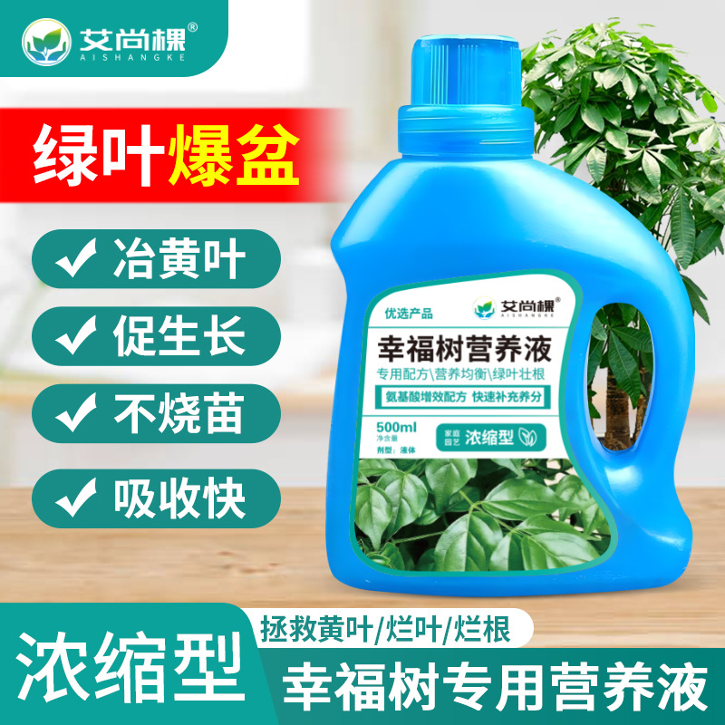 幸福树专用营养液高浓缩型室内盆栽花卉花肥料生根液金钱树龙血树商品图