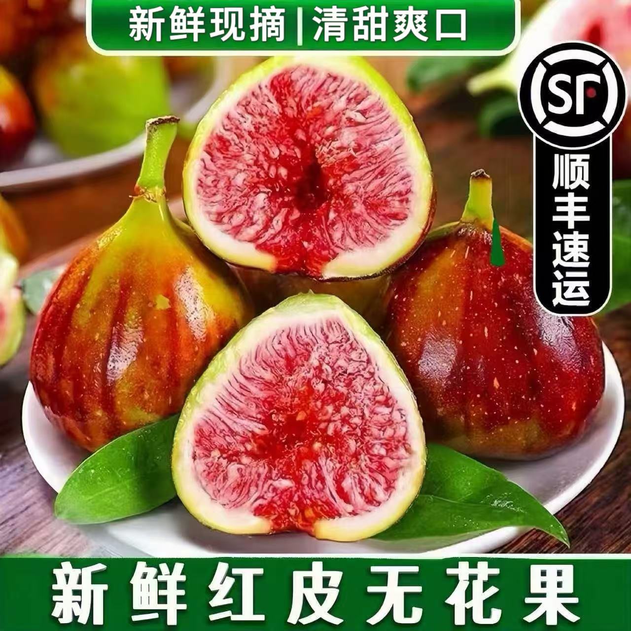 【顺丰包邮 产地直发】云南红皮无花果鲜果 新鲜水果