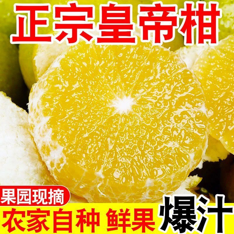 AA正宗广西爆甜皇帝柑新鲜水果桔子柑橘当季贡柑大果薄皮黄帝柑