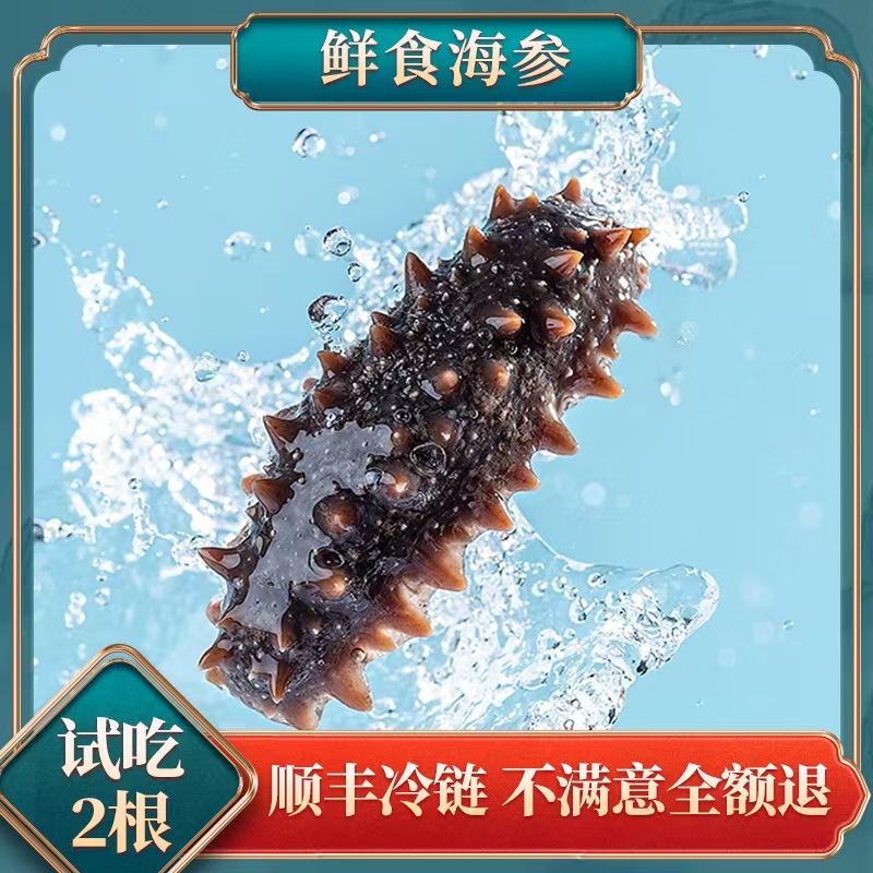 【鲜食海参】15-17头每斤顺丰冷链深海刺参口感Q弹开袋即食熟制