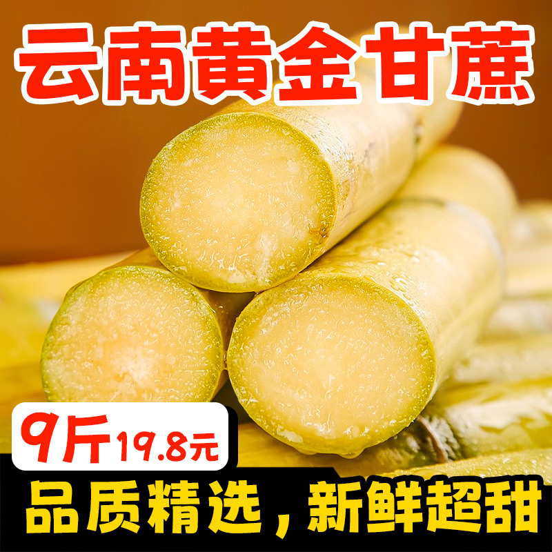 【粉丝专属】云南广西黄金甘蔗原生态清甜多汁新鲜水果