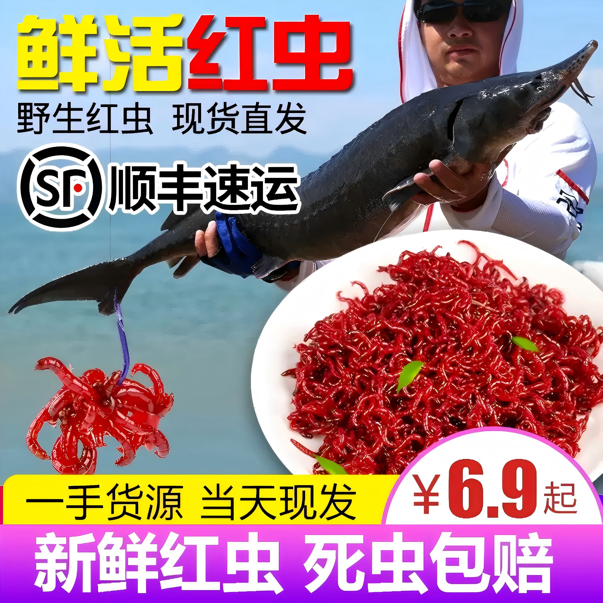 【顺丰包邮】元宵节让利降价！ 鲜活红虫！死虫包赔全国1-2天到货!
