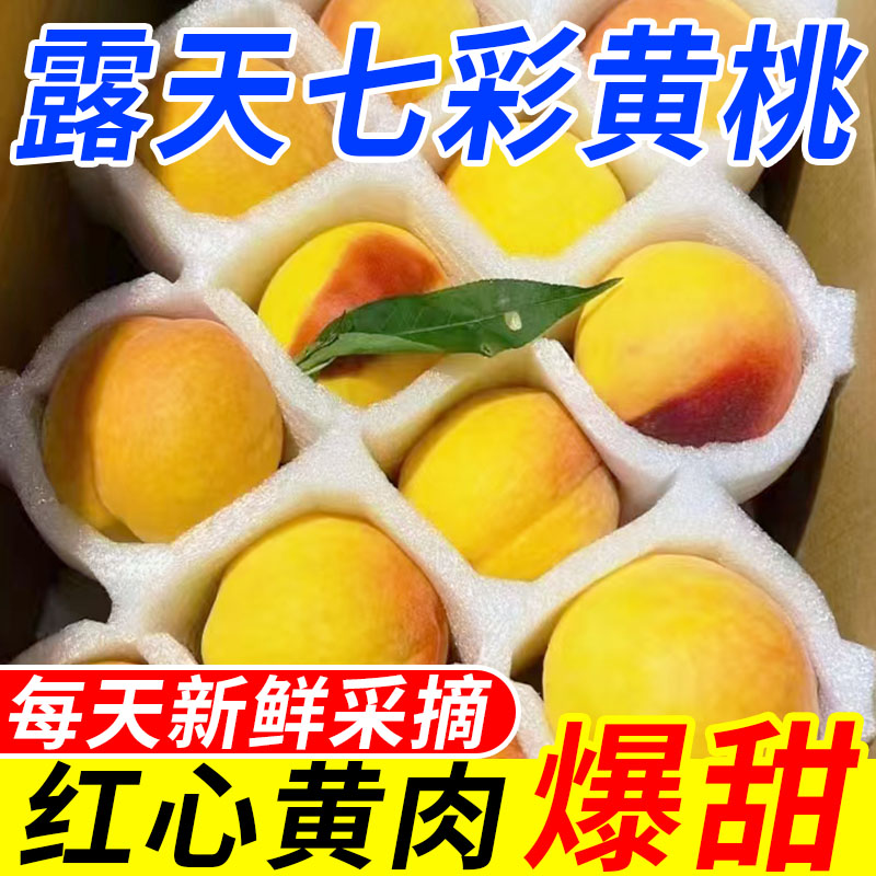 【露天七彩黄桃】爆甜高山锦绣黄桃新鲜应季水果脆软两吃坏果包赔