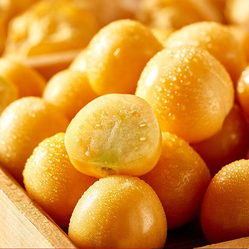 东北头茬新鲜黄金菇娘果当季灯笼果 现摘现发顺丰包邮