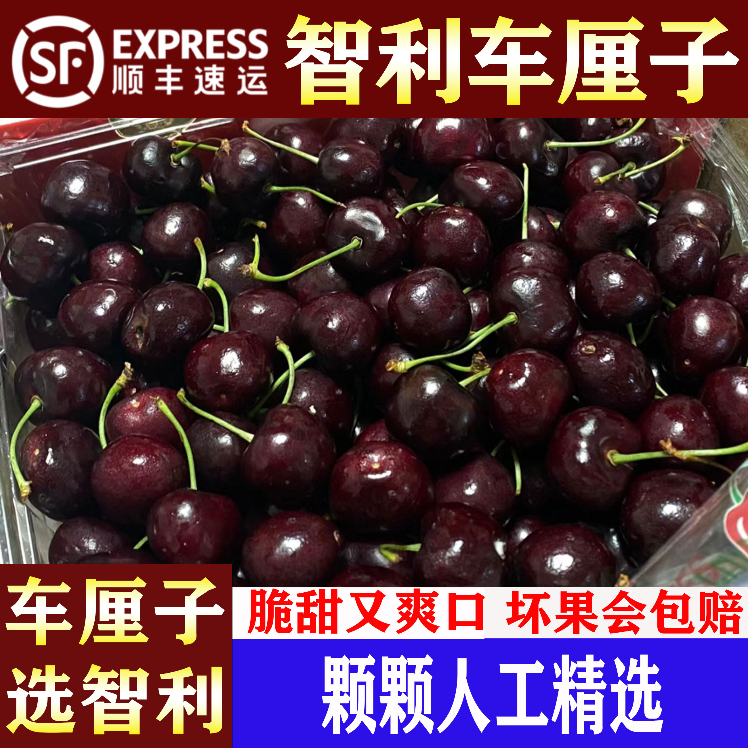 【年货节】智利进口车厘子桑提娜当季水果孕妇宝妈推荐车厘子 内附果径卡