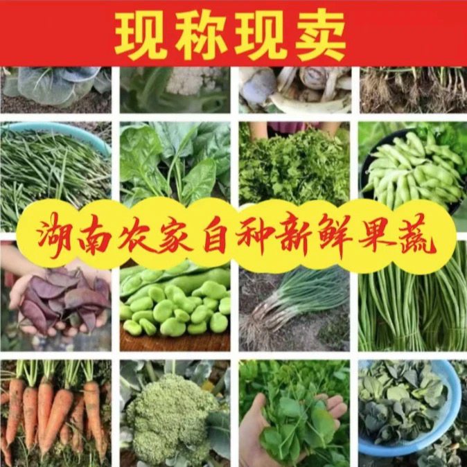 C【赶集收货】湖南乡村赶集现场收获综合农产品