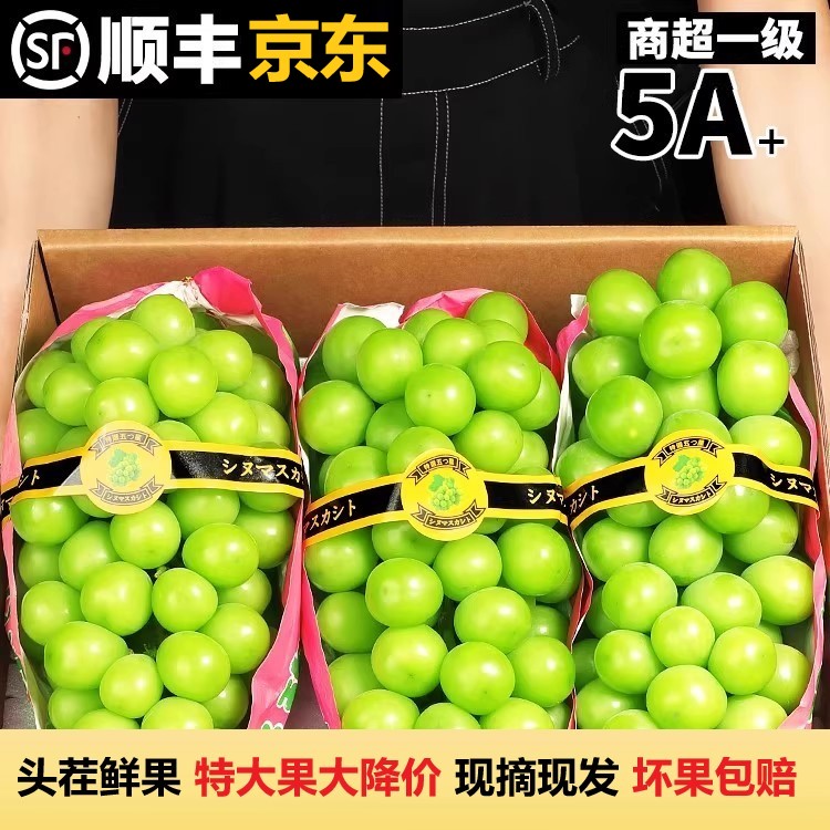 【特大果-送3斤】高原阳光玫瑰脆甜爆汁无籽晴王葡萄现摘买3斤送3斤