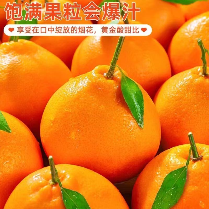 耙耙柑九甜一酸口感佳每单到手净重3斤