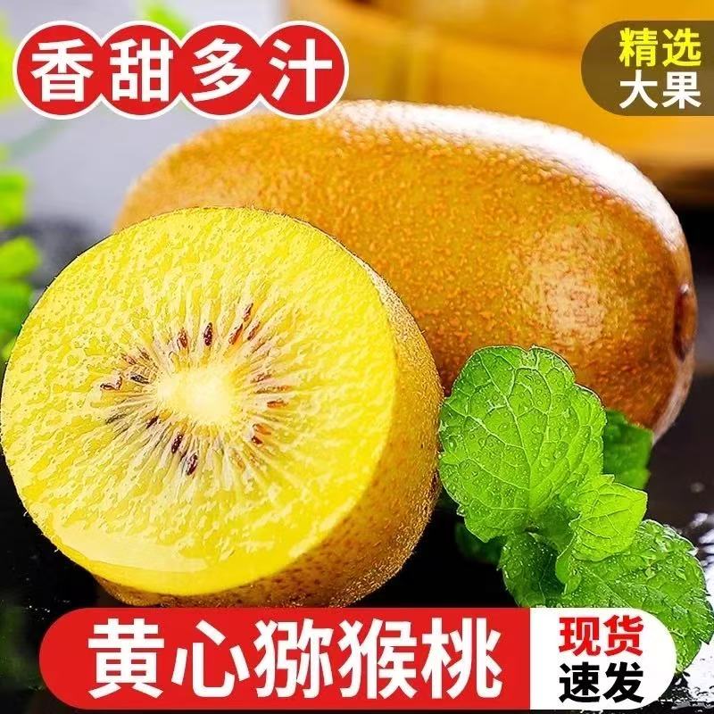 Z四川正宗黄心猕猴桃奇异果金果H20纯甜无酸新鲜孕妇水果产地直发