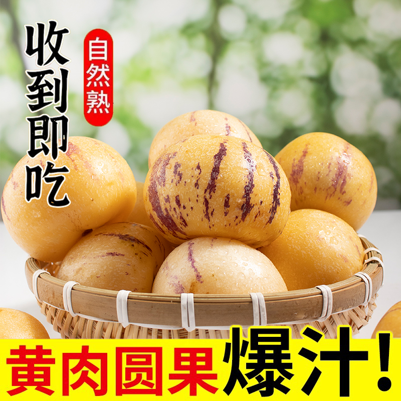 【低糖水果】云南石林树上熟人参果圆果黄肉新鲜水果应季现摘现发