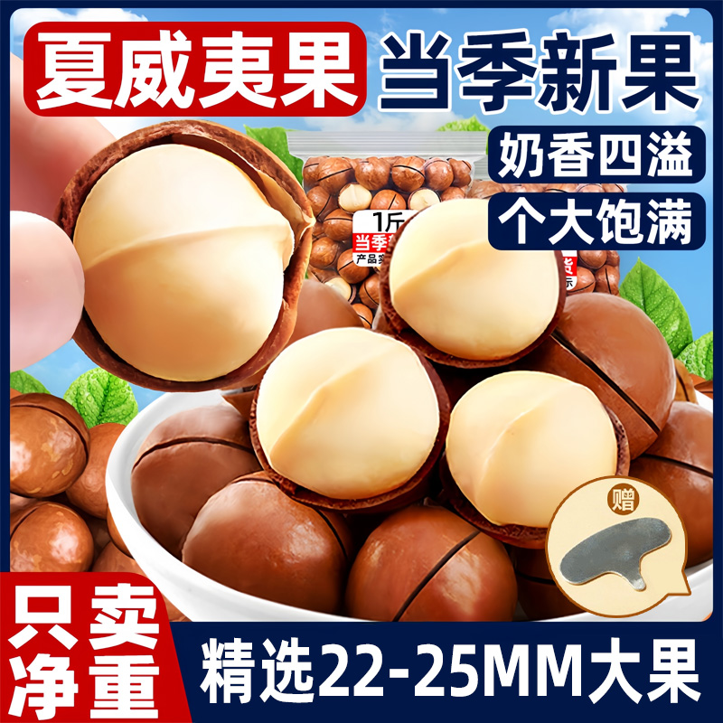 新货夏威夷果奶油味坚果500克送开口器坏果包赔225果