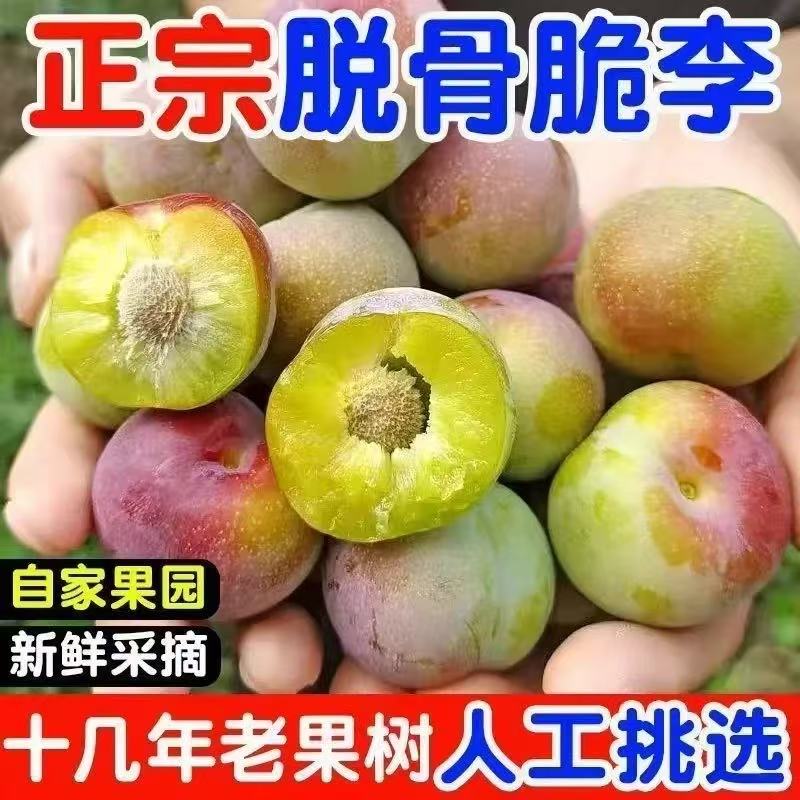 【拍3斤送2斤 到手 净重5斤】四川半边红李子茵红李脱骨李现摘现发