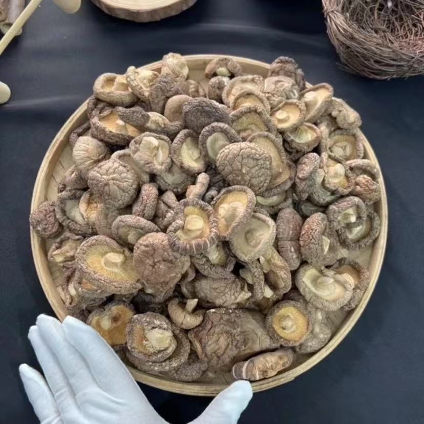 甄选新鲜肉厚无根香菇干货煲汤鲜香浓郁营养美味