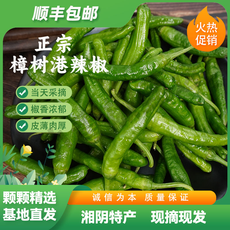 湖南特产樟树港原种辣椒软皮
