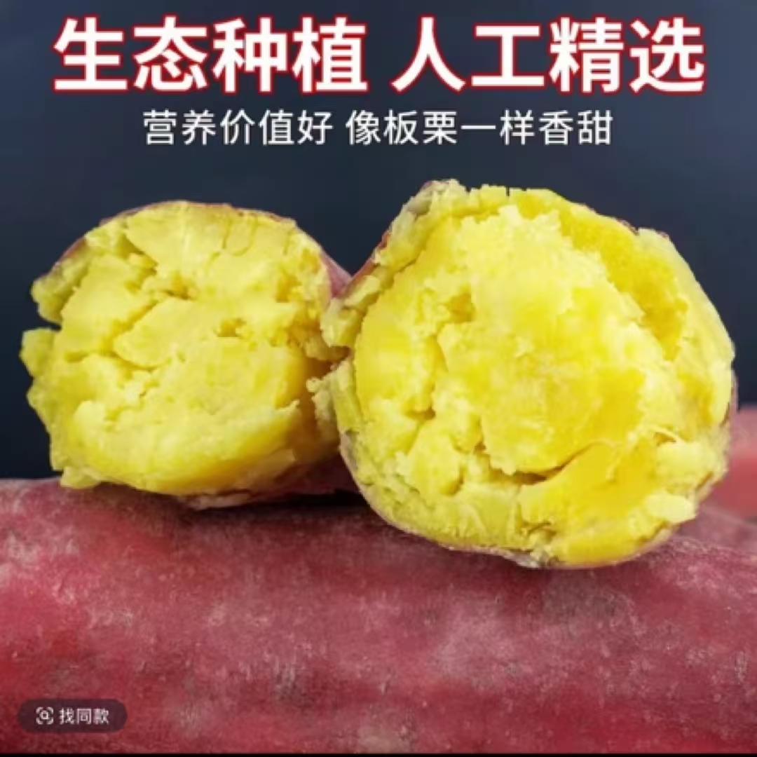 【买3斤送2斤重5斤】新鲜现挖沙地板栗薯粉糯香甜地瓜5斤包邮L